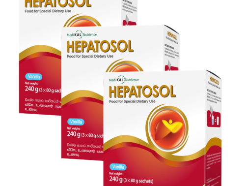 Hepatosol 240g x 3